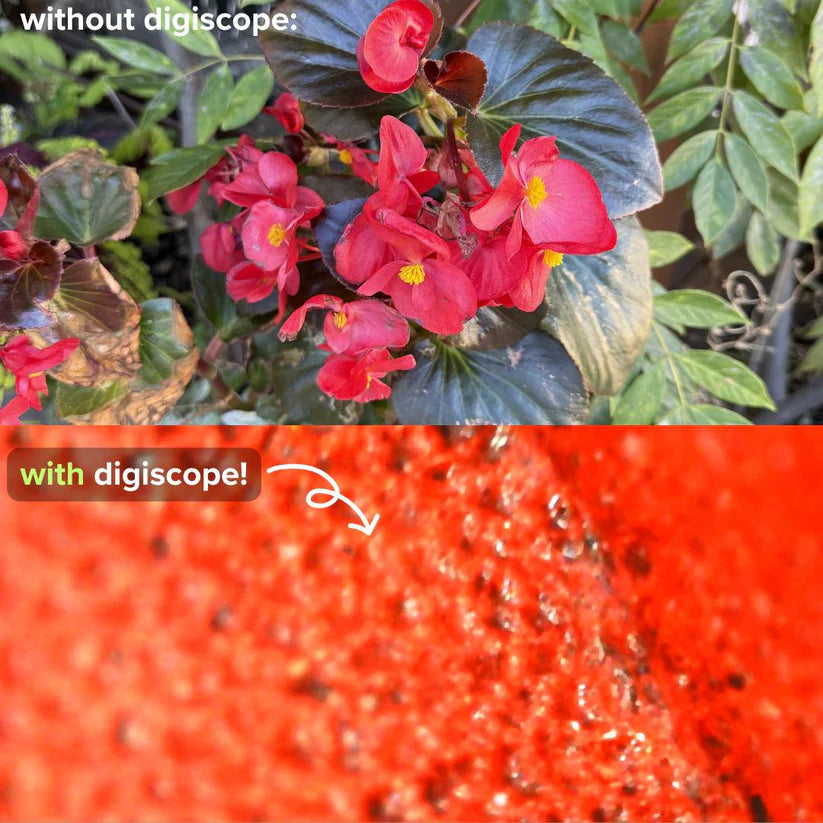 Digiscope™ - digital microscope