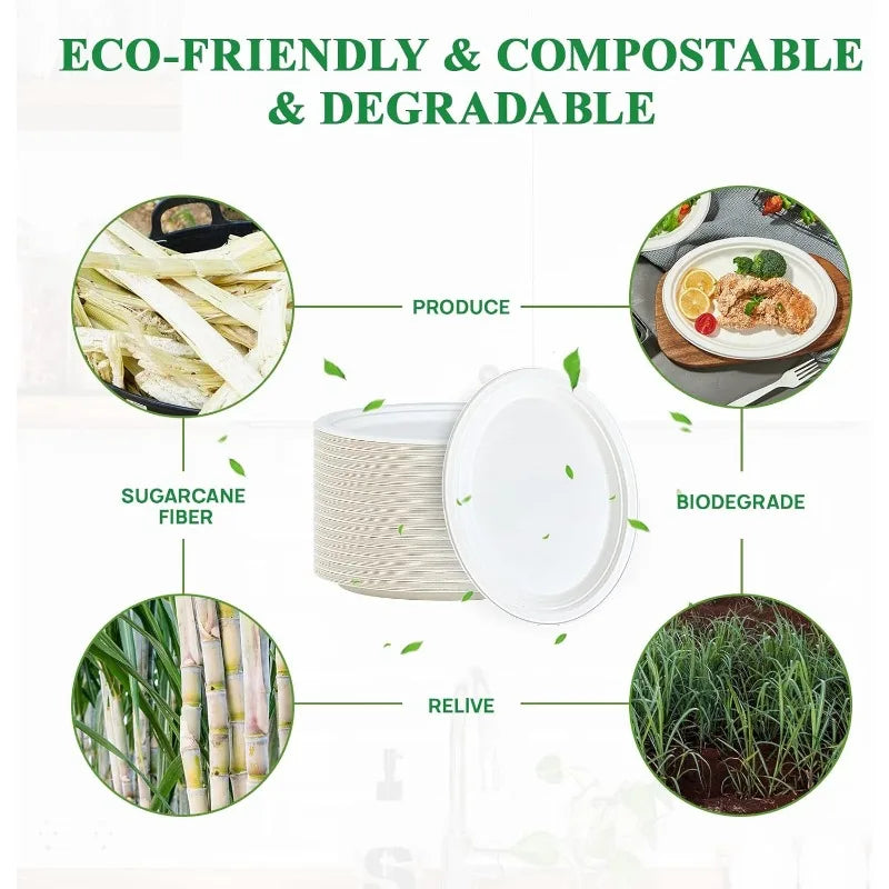 Cravinc 12 inch Oval Paper Plates 125 Pack - Super Strong & 100% Compostable